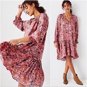 Ann Taylor • Floral Ruffle Swing Dress